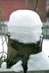fence hat