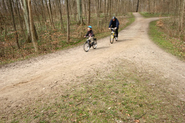 Naklejka premium in the forest