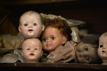 dolls heads