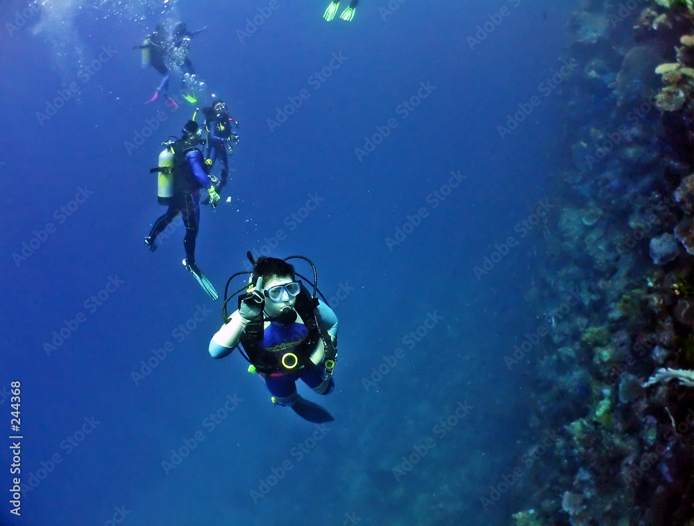 Wall mural scuba divers