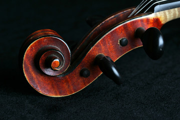 violin5213