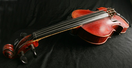violin5224
