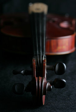 violin5200