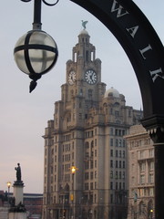 Fototapeta na wymiar liverbuilding w Liverpoolu
