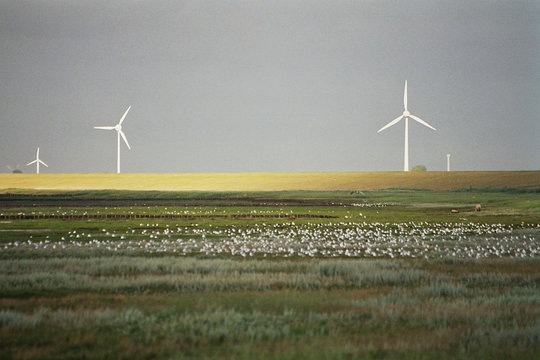 windkraftanlagen