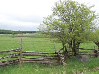 rural scene
