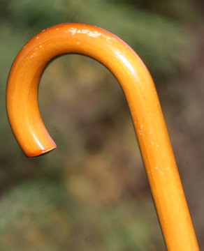 la canne ou le parapluie