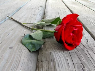 Fotobehang Rood, wit, zwart roos op hout