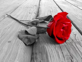 Fotobehang Rood, wit, zwart roos op hout bw