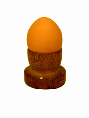 egg 18