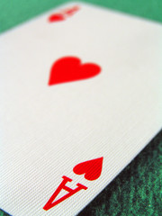 ace of hearts shallow