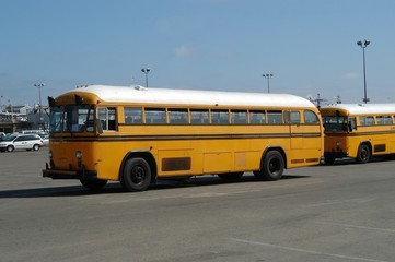 Naklejka na ściany i meble school-buses