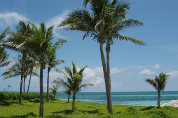 Fototapeta na wymiar bahamas beach
