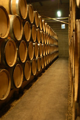 bourgogne wine cellar