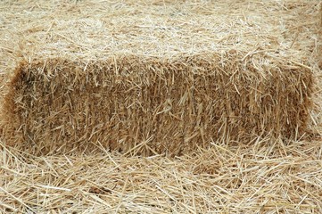 hay stack