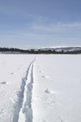 ski trail