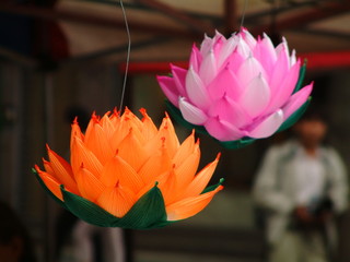 Fototapeta premium paper laterns at lotus lantern festival