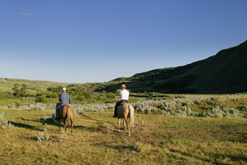 cattle round up