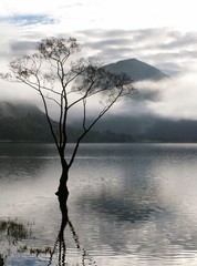 buttermere lake - 269703
