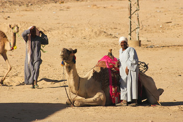 bedouins at desert