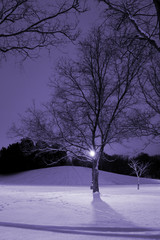 light post, snowy hill, trees and it is winter time