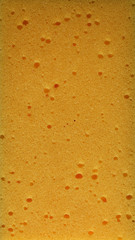 sponge background