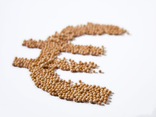 euro sign perspective