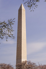 springtime at the washington monument