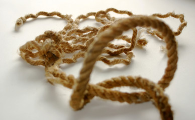 tie the knot!