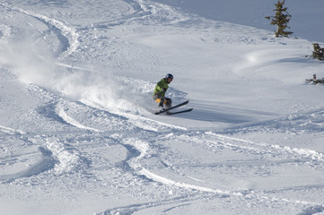 Fototapeta na wymiar skiing in the powder