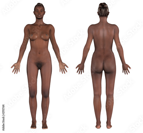 Female Nude Anatomy 82