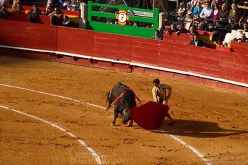 Peel and stick wall murals Bullfighting corrida