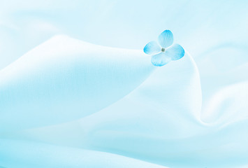 light blue background with flower