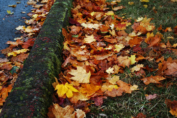 last show of splendor.