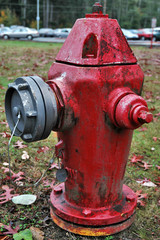 Fototapeta premium red fire hydrant