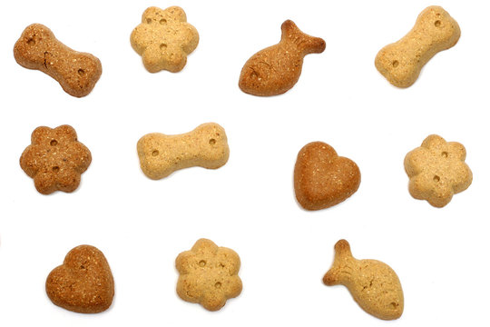 Dog Treats Closeup