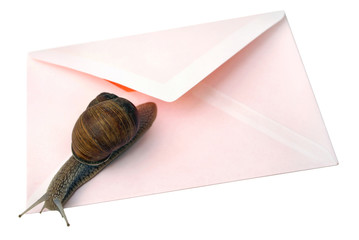 snail mail isolated © Tinka