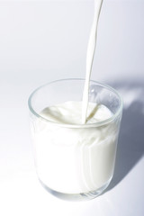 glass of milk, pouring