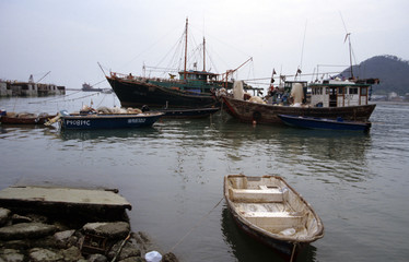 fishing boats in hong kong