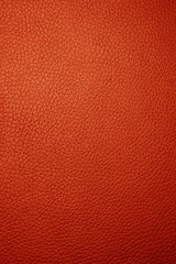 red leather - macro