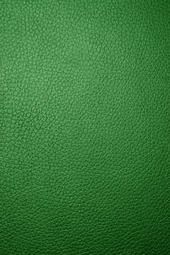 green leather - macro