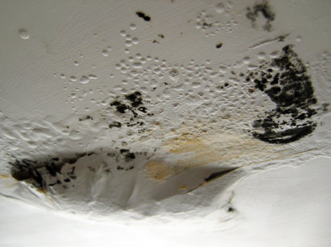 leaky ceiling 1