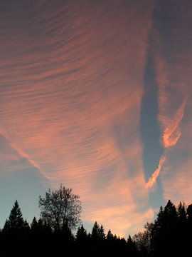 Sunset   Contrail