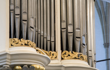 organ pipes