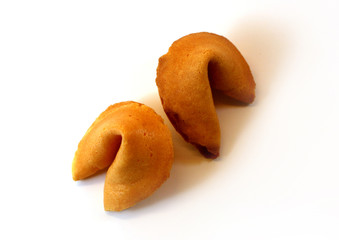  two unopened fortune cookies