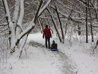 Fototapeta na wymiar matka z dzieckiem w lesie zimą