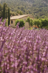 images de provence