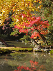 japanese garden