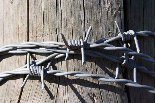barbed wire on a fence post