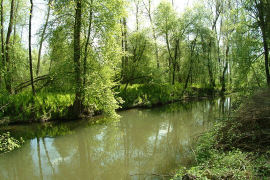 aulandschaft - mur